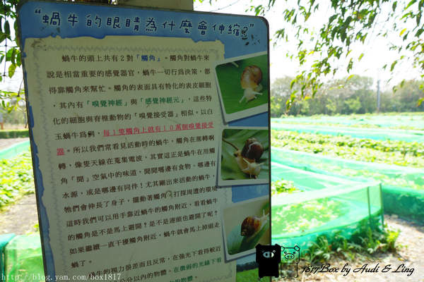 【彰化。溪湖】台灣小品蝸牛生態觀光農場。參觀環境篇。4/25正式開幕 @1817BOX部落格