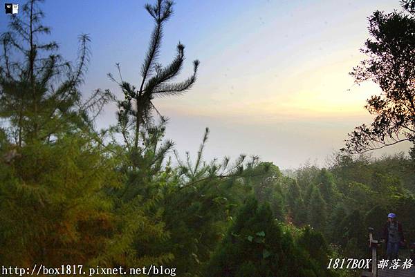 【嘉義。番路】阿里山二延平步道。茶園山景。黃昏＆星空版風景分享 @1817BOX部落格