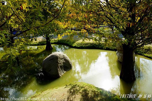 【雲林。虎尾】河畔旁青埔落羽松秘境。落羽松的倒影美如畫 @1817BOX部落格