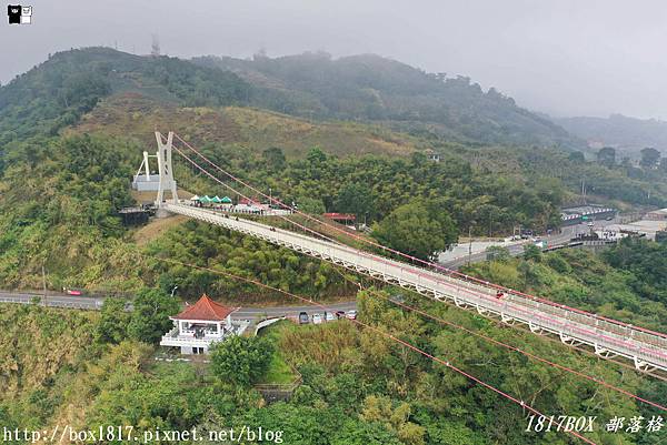 【嘉義。梅山】太平雲梯。全台海拔最高的景觀吊橋。嘉義梅山旅遊景點