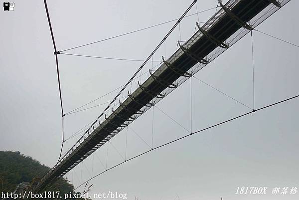 【嘉義。梅山】太平雲梯。全台最長、海拔最高的景觀吊橋。嘉義梅山旅遊景點 @1817BOX部落格