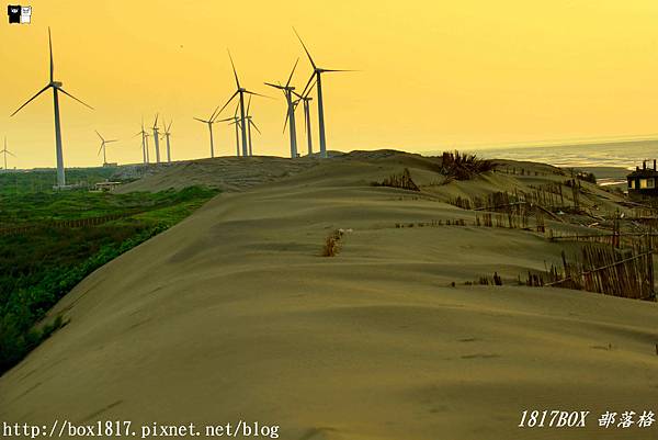【桃園。觀音】草漯沙丘。台版撒哈拉。8.1公里的沿海沙漠。百年漂沙x濱海風車。桃園觀音景點。IG打卡熱門景點 @1817BOX部落格