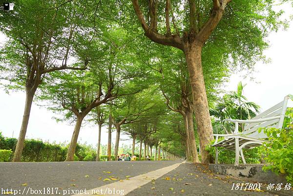 【屏東。潮州】泗林健走步道 | 潮州綠色隧道。全台灣第一個警政社區休憩園地。屏東最美綠色隧道
