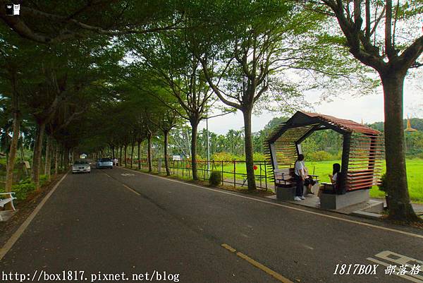 【屏東。潮州】泗林健走步道 | 潮州綠色隧道。全台灣第一個警政社區休憩園地。屏東最美綠色隧道 @1817BOX部落格