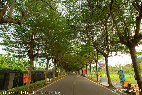 【屏東。潮州】泗林健走步道 | 潮州綠色隧道。全台灣第一個警政社區休憩園地。屏東最美綠色隧道