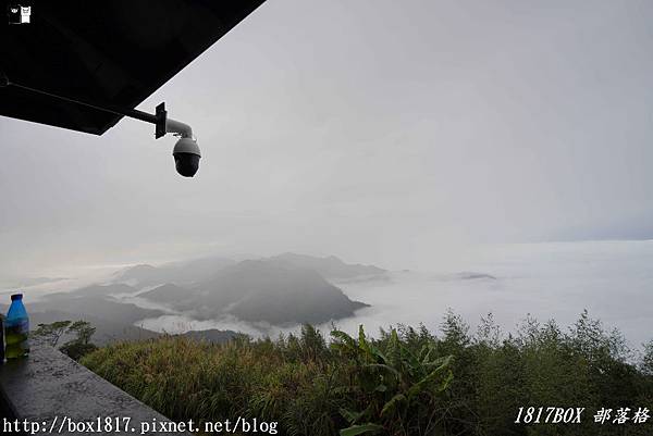 【嘉義。番路】阿里山隙頂二延平步道雲海。季節限定美景。空拍攝影 @1817BOX部落格