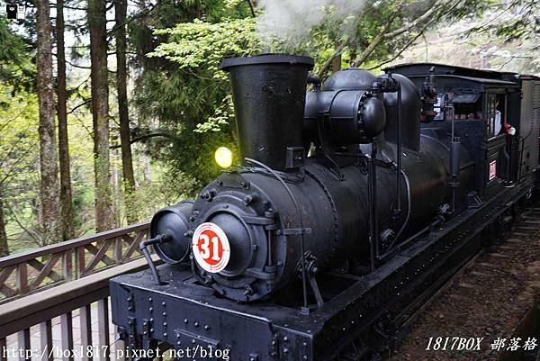 【嘉義。阿里山】2021櫻花季限定。《SL-31蒸汽火車》主題列車。體驗全台獨家的高山櫻花鐵道之旅 @1817BOX部落格