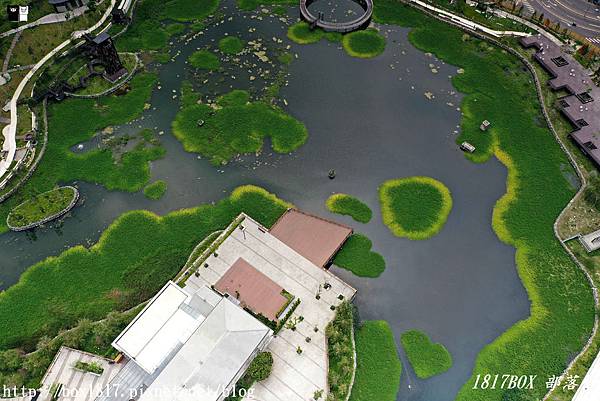 【台中。東區】帝國糖廠湖濱公園。星泉湖。雙心水草。私房景點 @1817BOX部落格