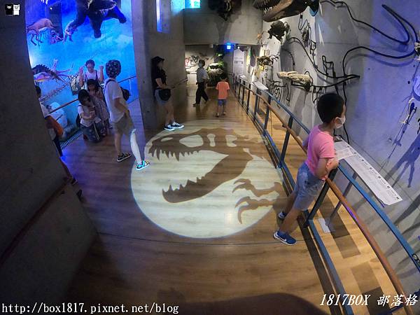【台南。左鎮】臺南左鎮化石園區。全臺唯一的化石主題園區 @1817BOX部落格